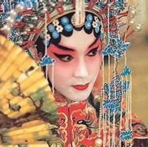两只老鼠老鼠