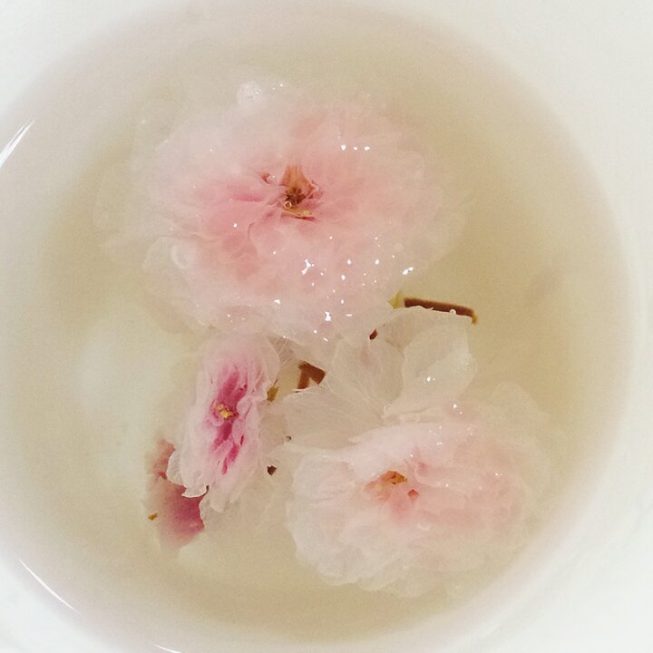 不孤独的食物美学✔
