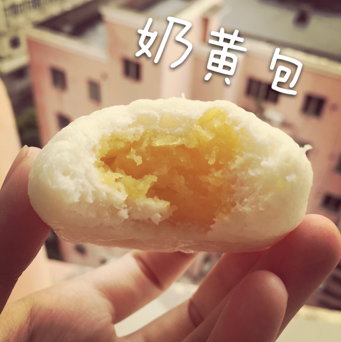 多多syougan做的奶黄包