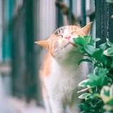筱雯璇