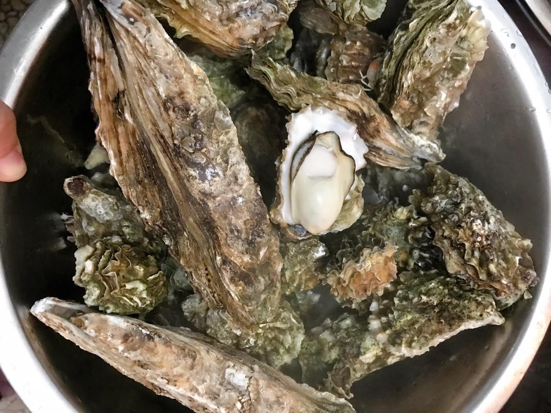 煮牡蛎（海蛎子）家常快手菜 附如何挑选及如何掌握火候！超级鲜肥！