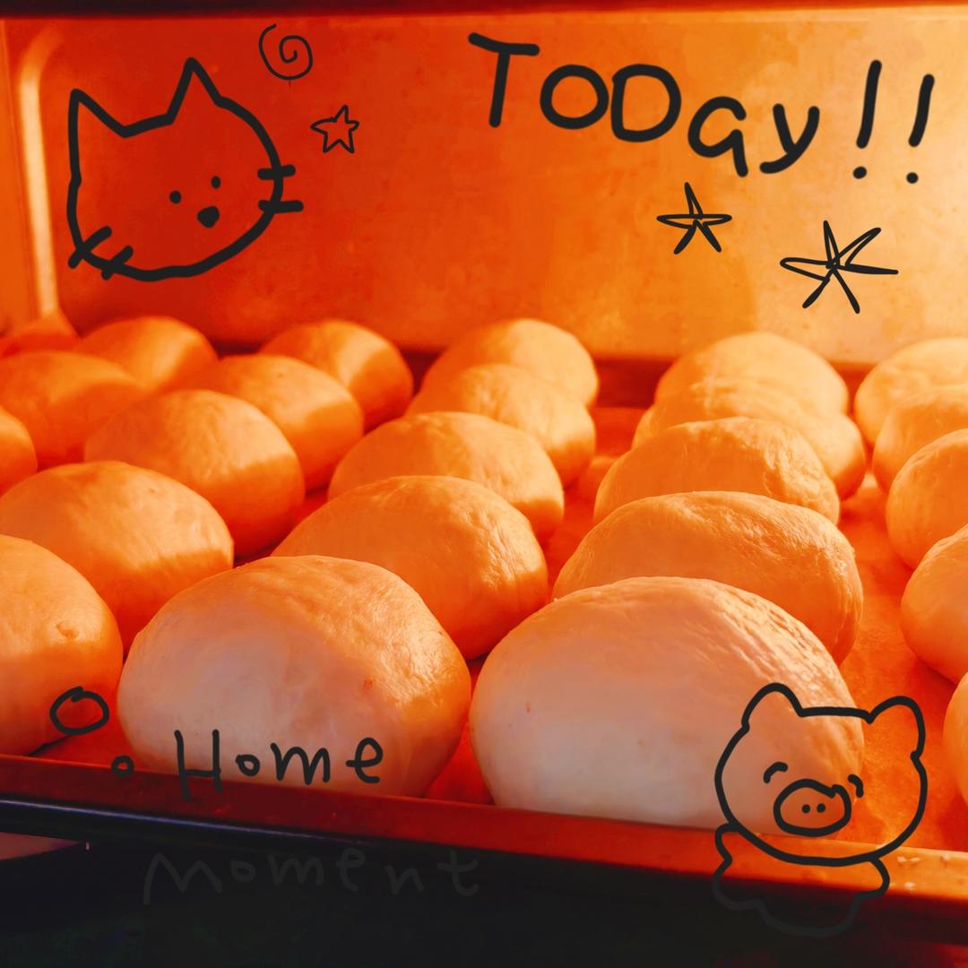 快手椰蓉小餐包（一次发酵照样柔软又拉丝）