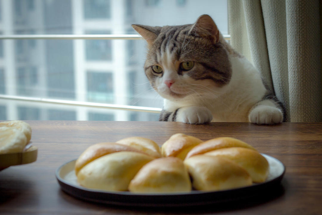 镇厨之喵的做法