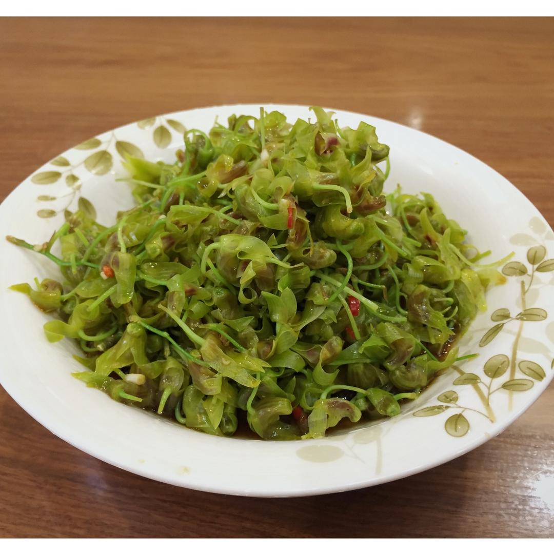 新鲜铁皮石斛热饮