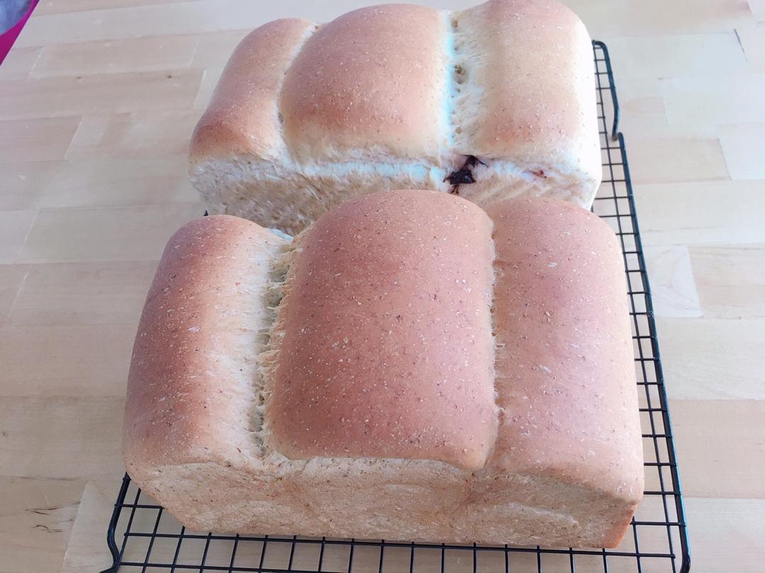 全麦吐司（70%冷藏中种法）