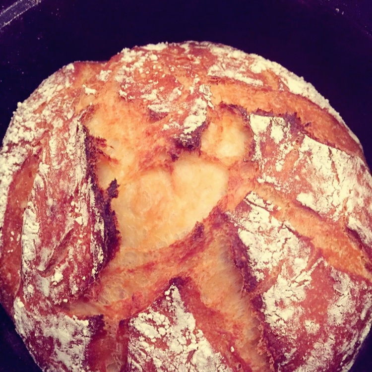 【Ken Forkish】Field blend #1轻黑麦天然酵种欧包