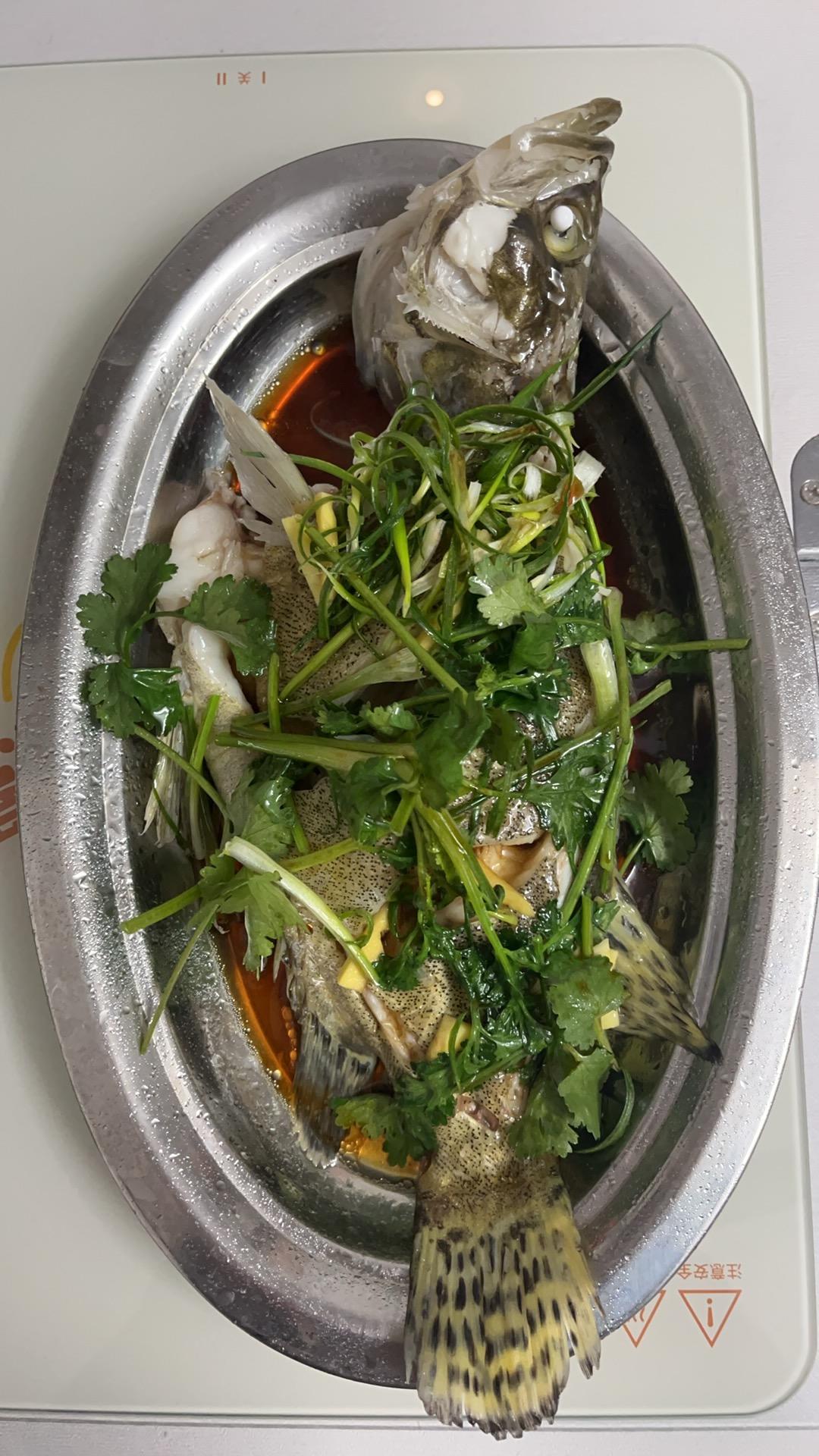 清蒸鱼（鲈鱼/多宝鱼/桂花鱼/石斑鱼……）