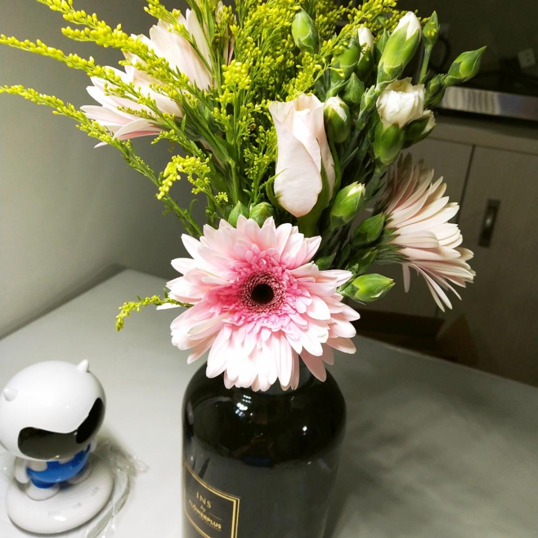 大咪和寿司天长地久