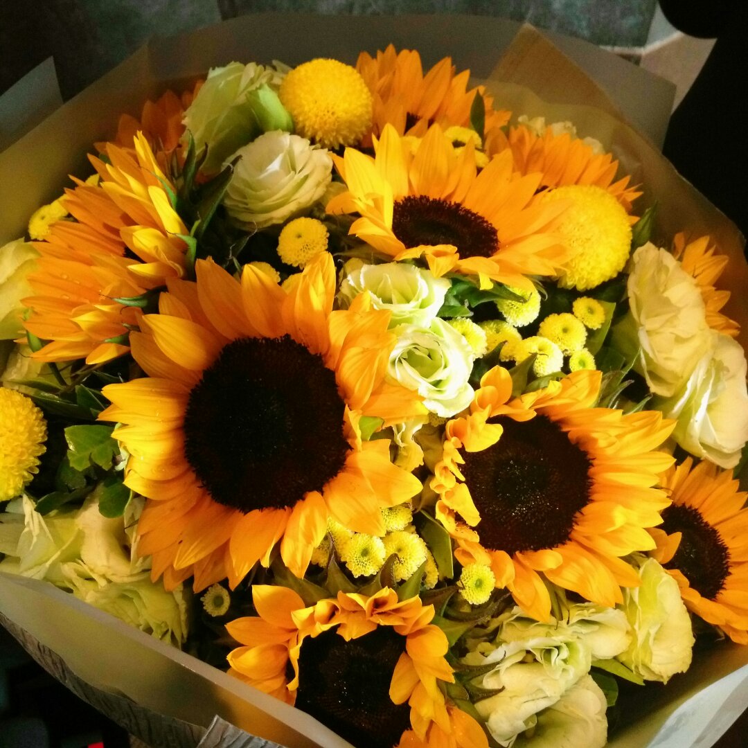 手机用户0829_q6y1