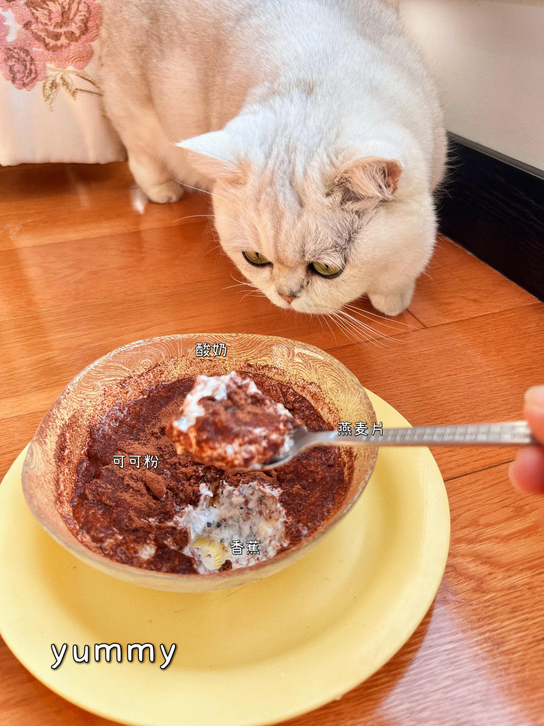 低脂低卡！免烤箱！！燕麦提拉米苏