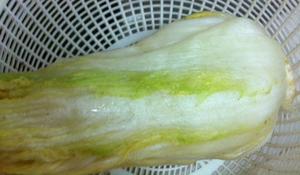 韩国白菜泡菜（辣椒粉版）的做法 步骤3