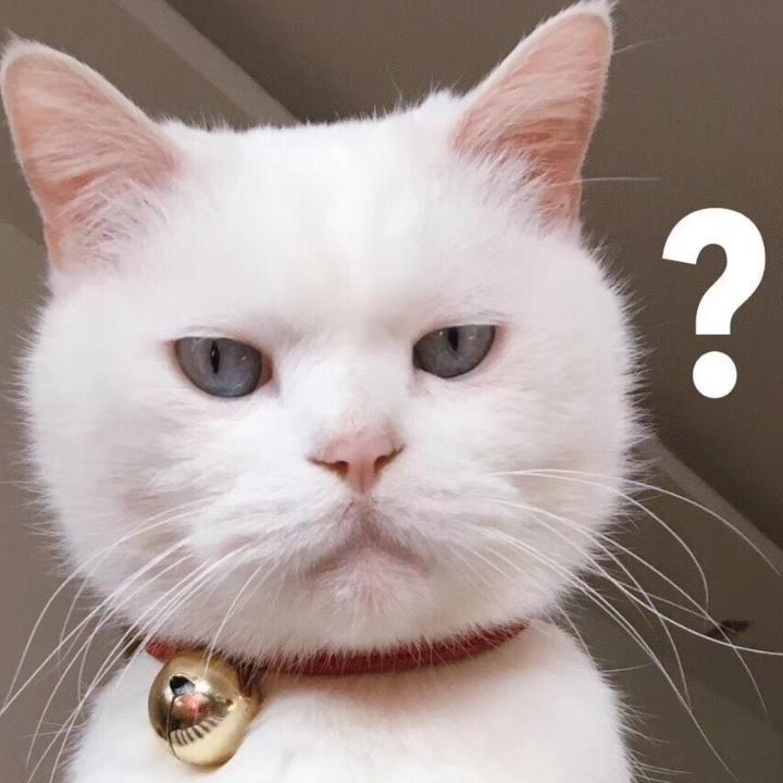 你是哪只小猪猪