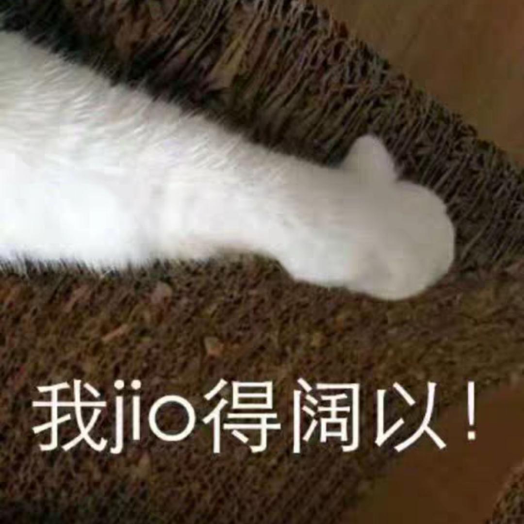 吃好喝好长生不老喵