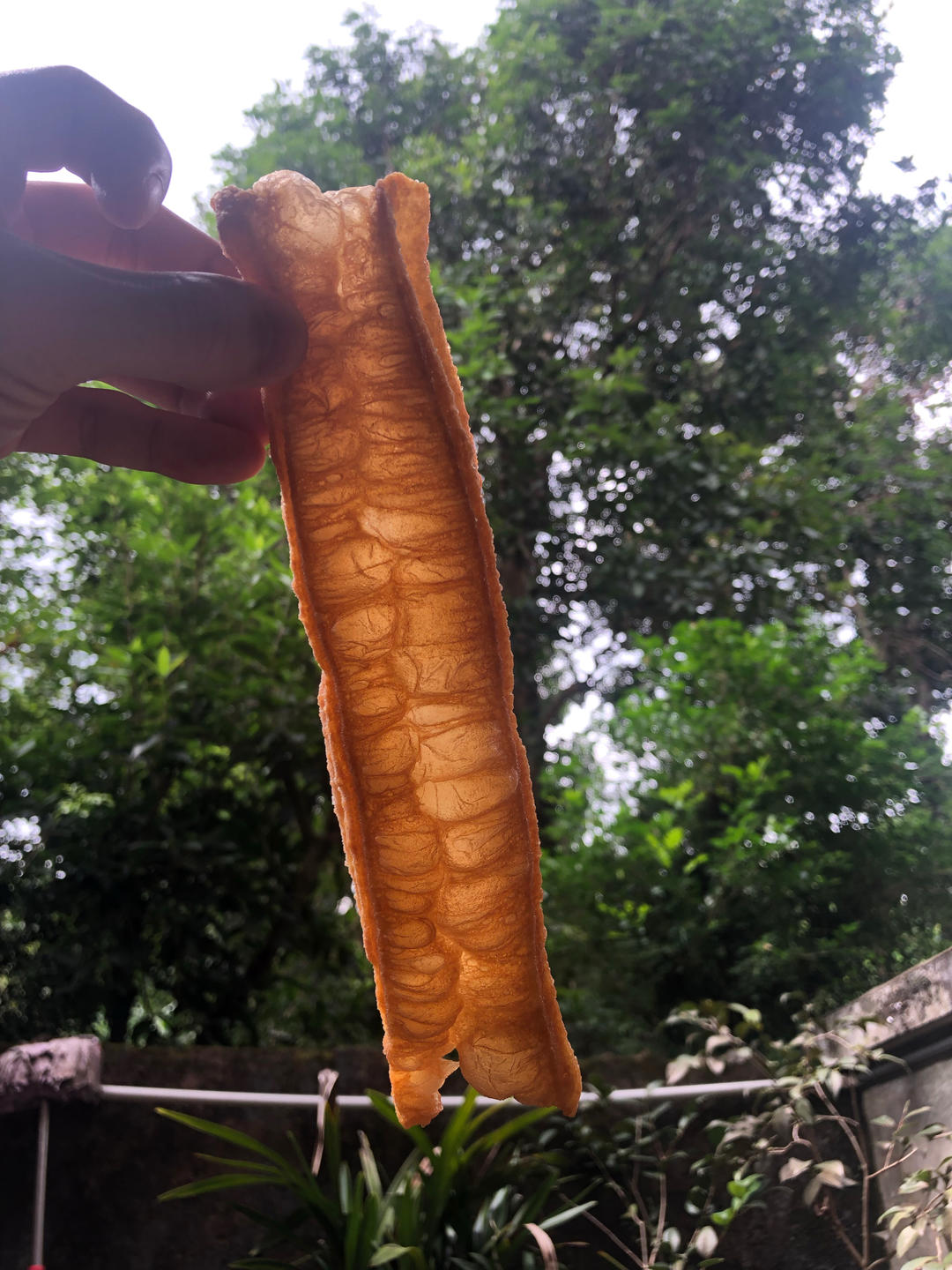 家庭版香酥油条