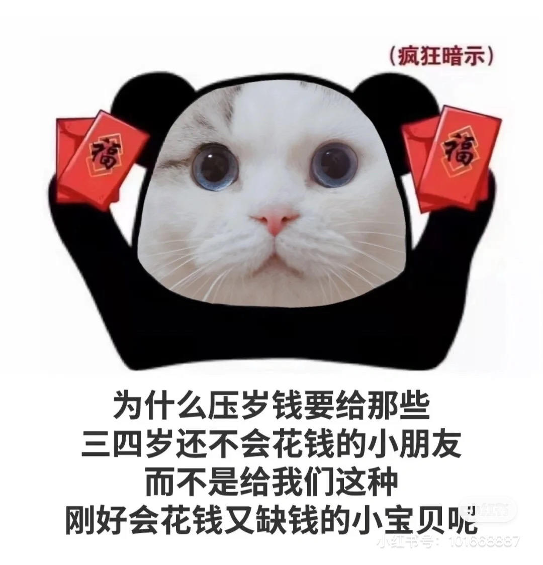 面条小妞