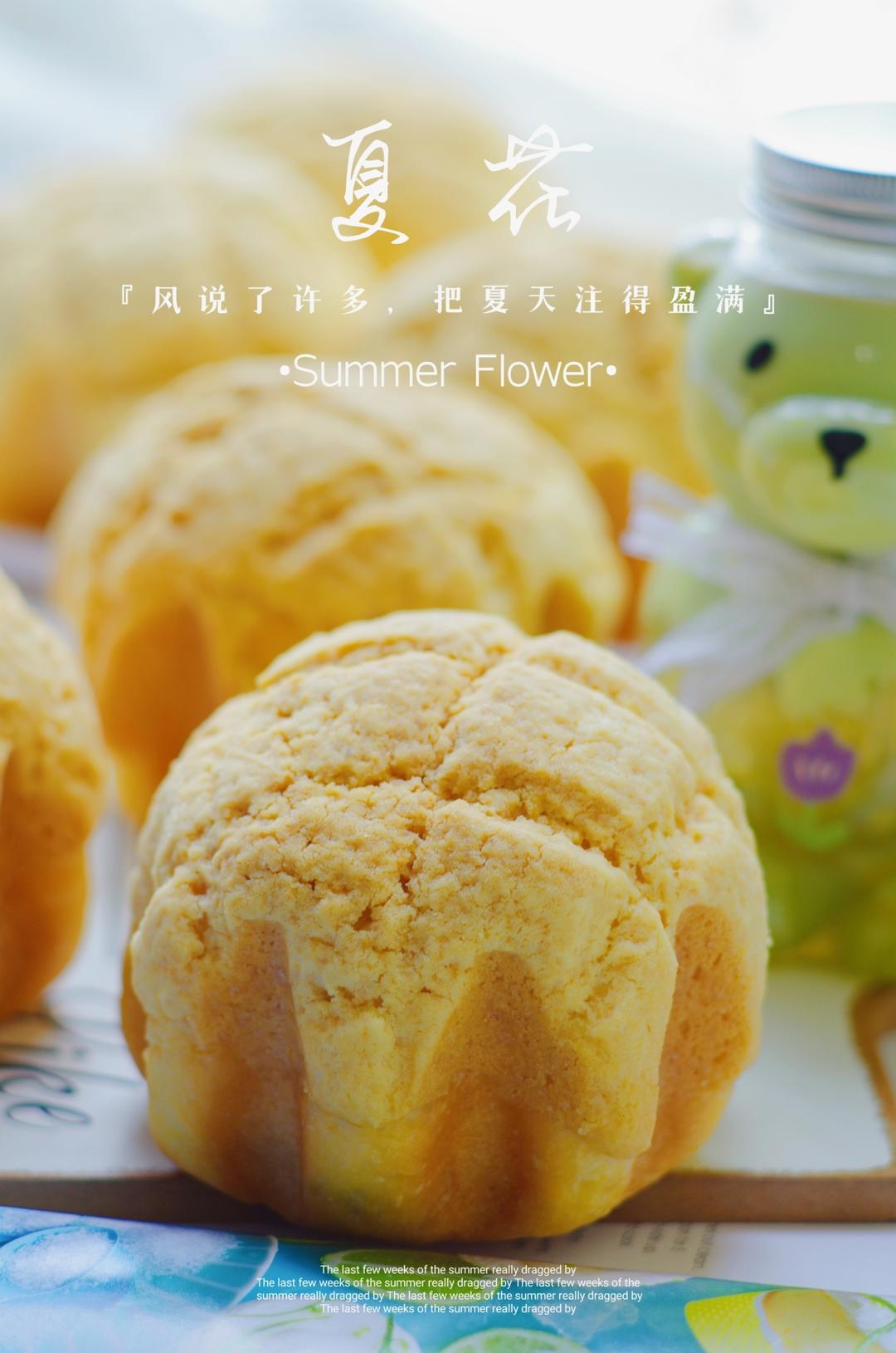 小龟的面包仔😜