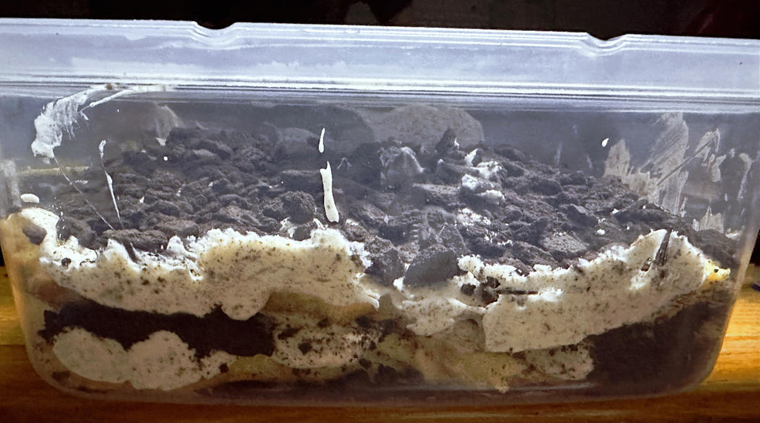 好吃到流泪的奥利奥咸奶油盒子蛋糕