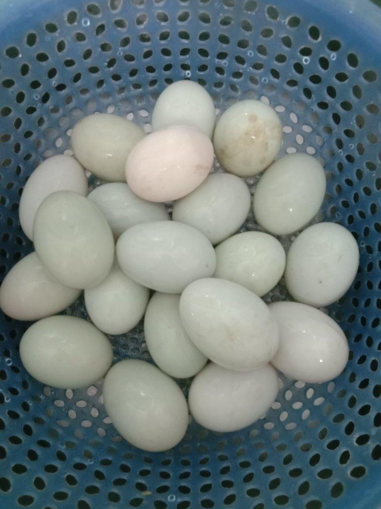 用了七年的方子-蛋黄酥