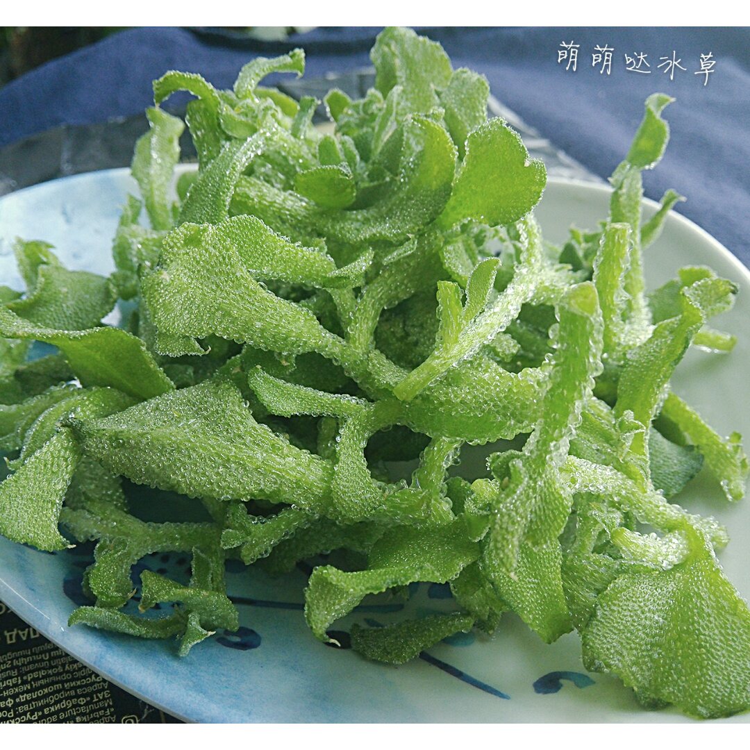 一只呆叶子做的凉拌南非冰草