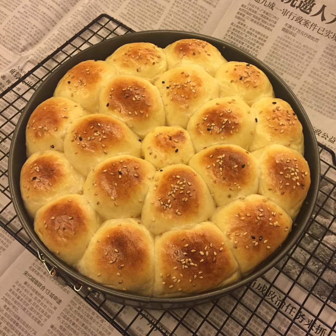 奶酪金钱小面包