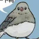 丫丫言狸不喜欢做饭