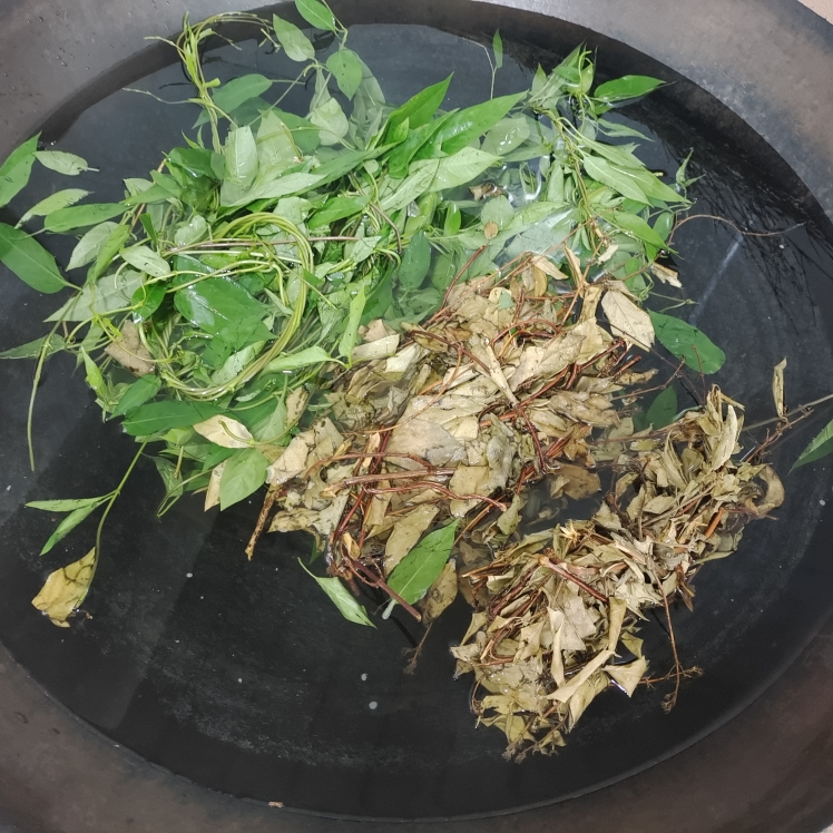鸡屎藤+金银花藤煮水（清热袪风袪湿）的做法