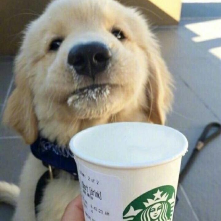 我叫什么名字和你有啥关系