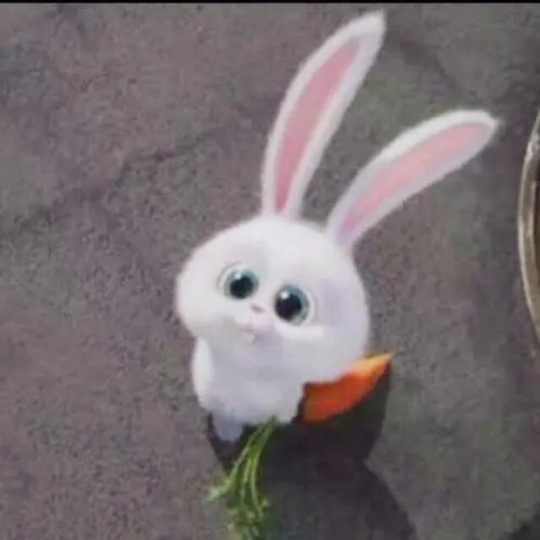 Mars左顾右盼的厨房