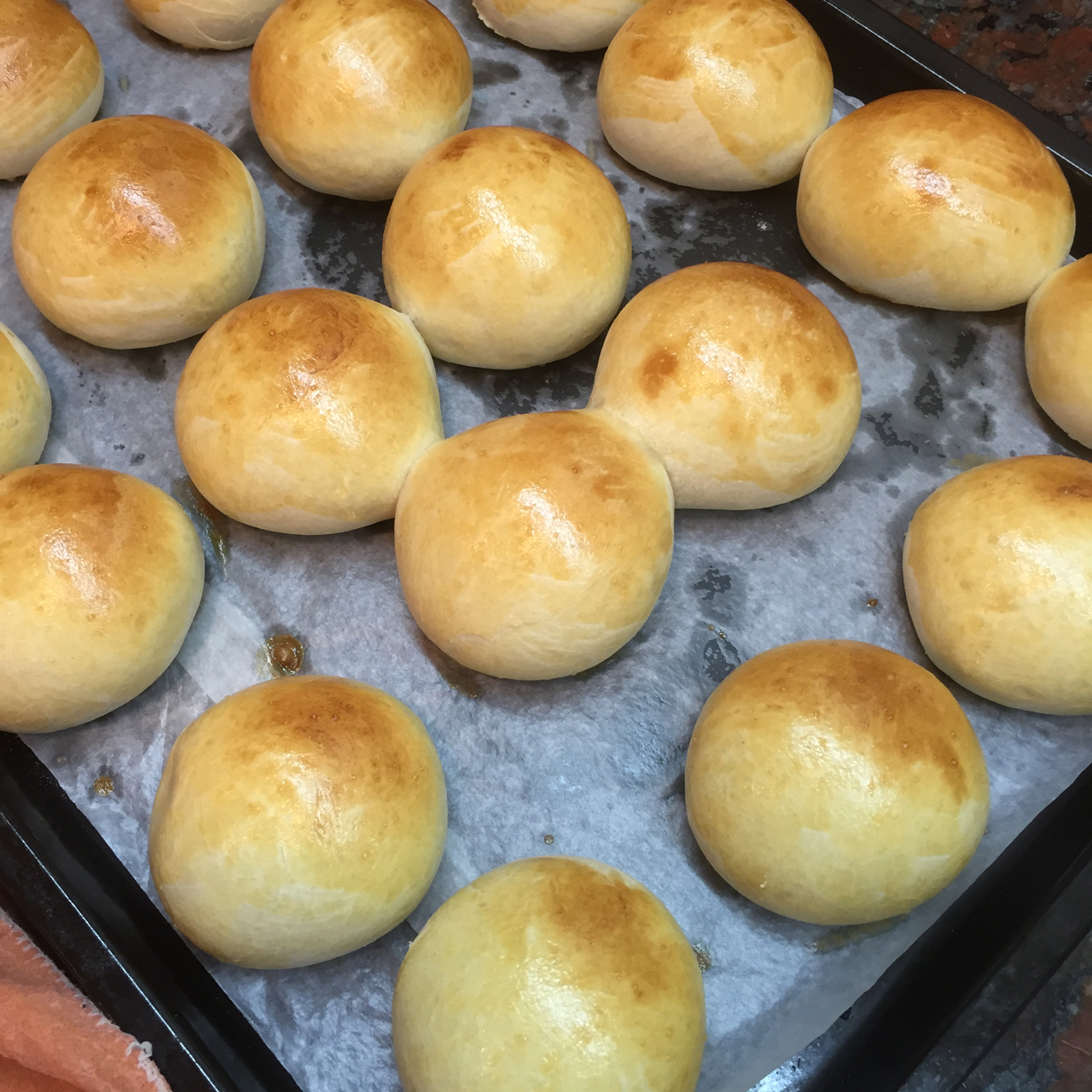 鲜奶油小餐包（一次发酵）