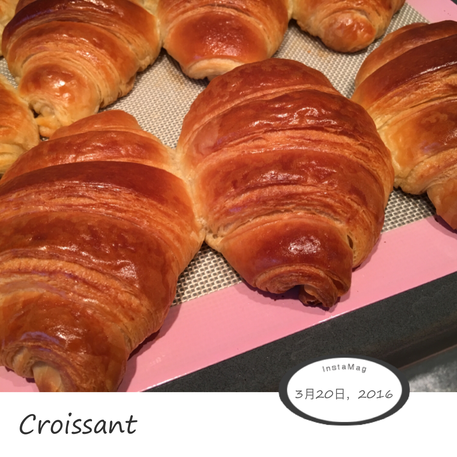 Croissants （原味可颂）