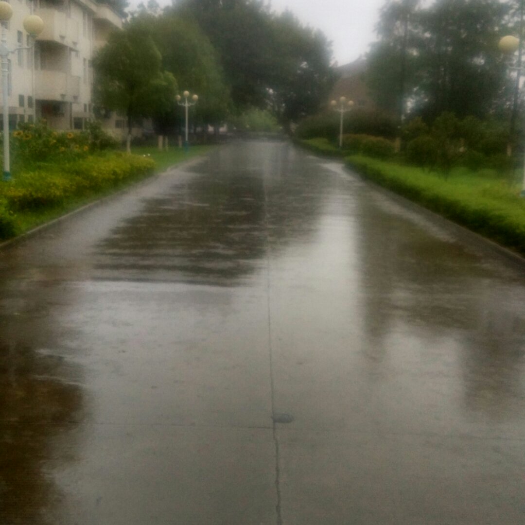 linweiqing