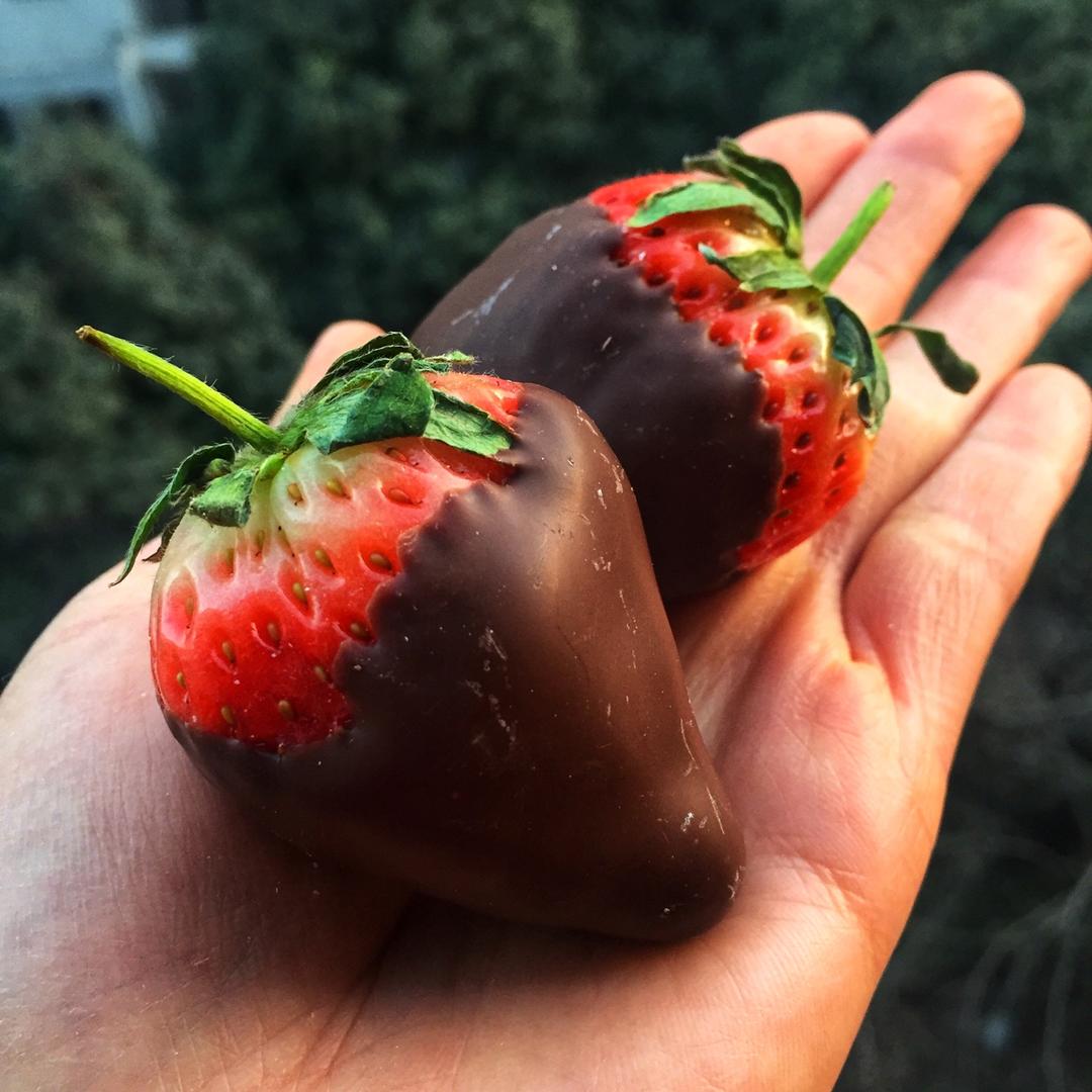 草莓伯爵