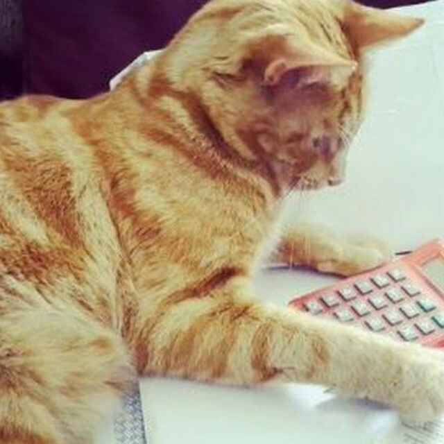 手机用户9642_7t3n