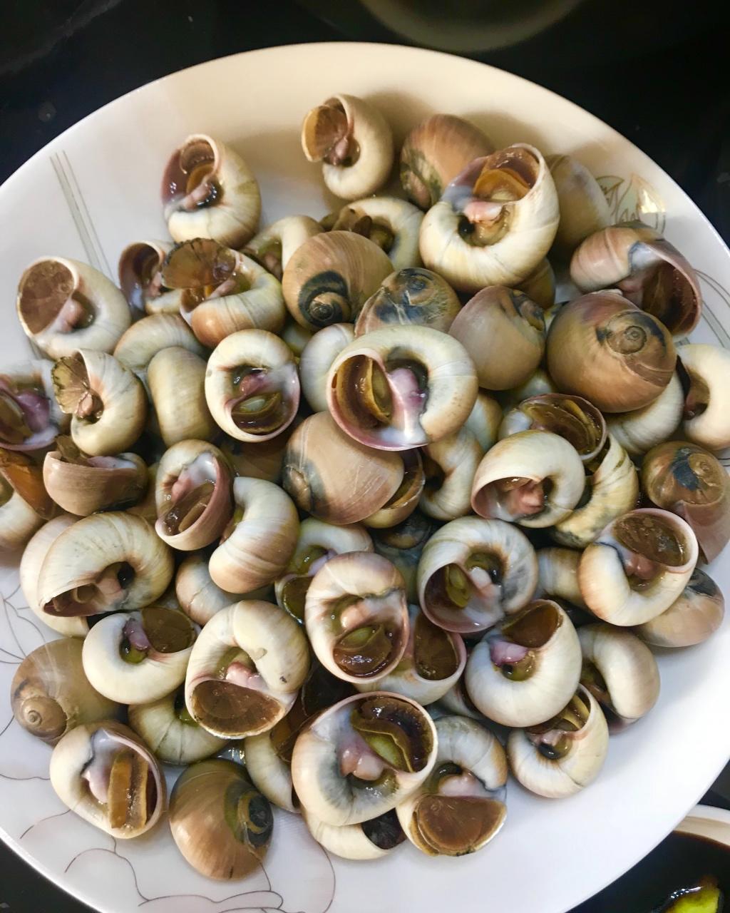 爱美丽的妈妈做的白灼香螺