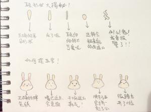 抹茶兔兔曲奇（比熊猫简单！超详细实物图+超良心手绘图）的做法 步骤24