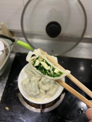 韭菜鸡蛋虾皮水饺的做法 步骤10