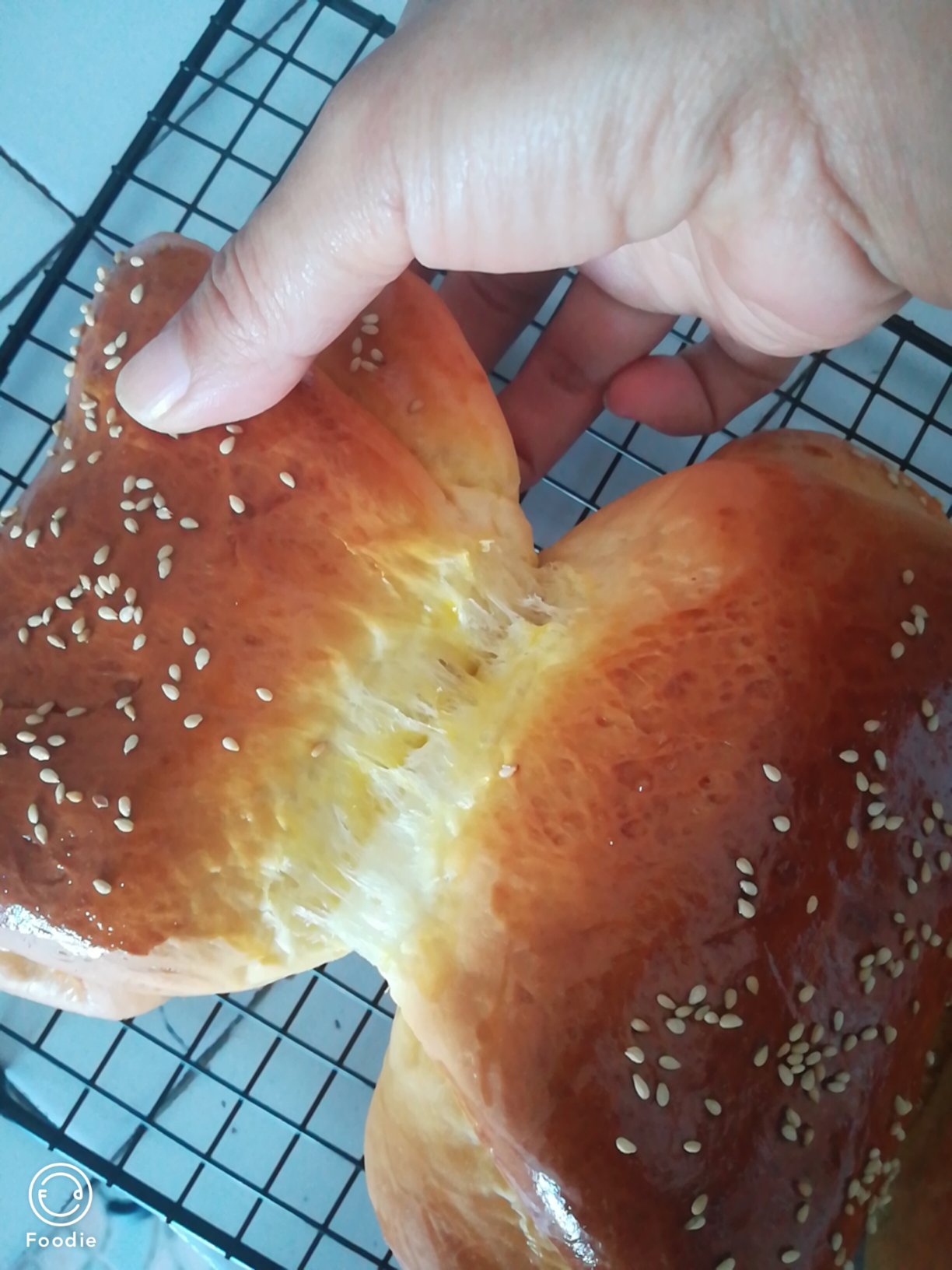 肉松手撕面包—超软会爆浆的面包哟