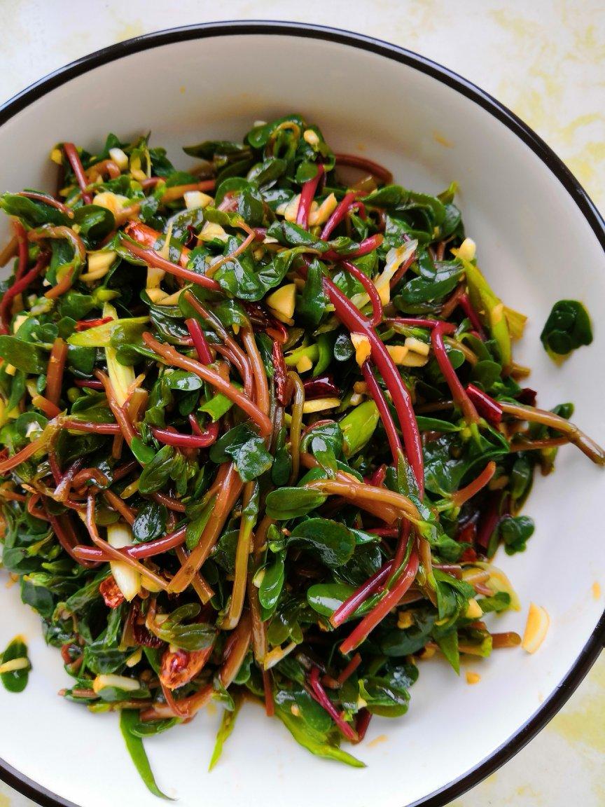 无敌厨娘小瓶子做的凉拌马马菜凉拌马齿苋