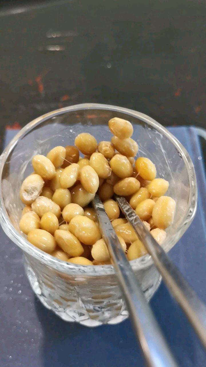 自制纳豆（酸奶机，面包机，烤箱版）