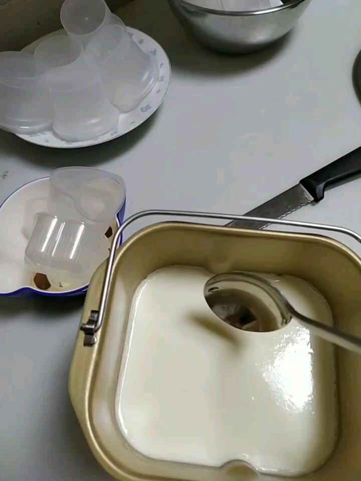 我的午餐打卡