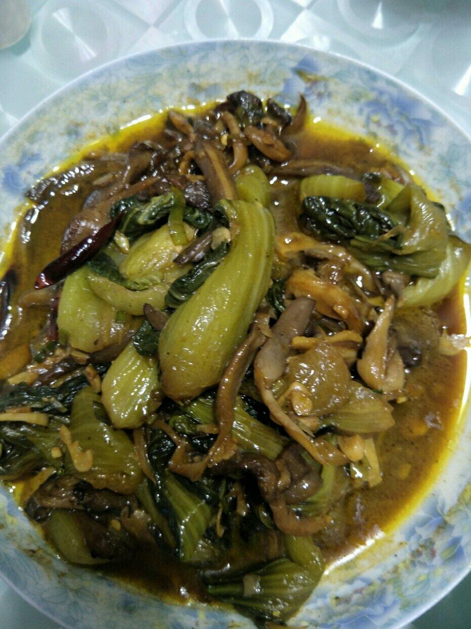 平菇炒青菜