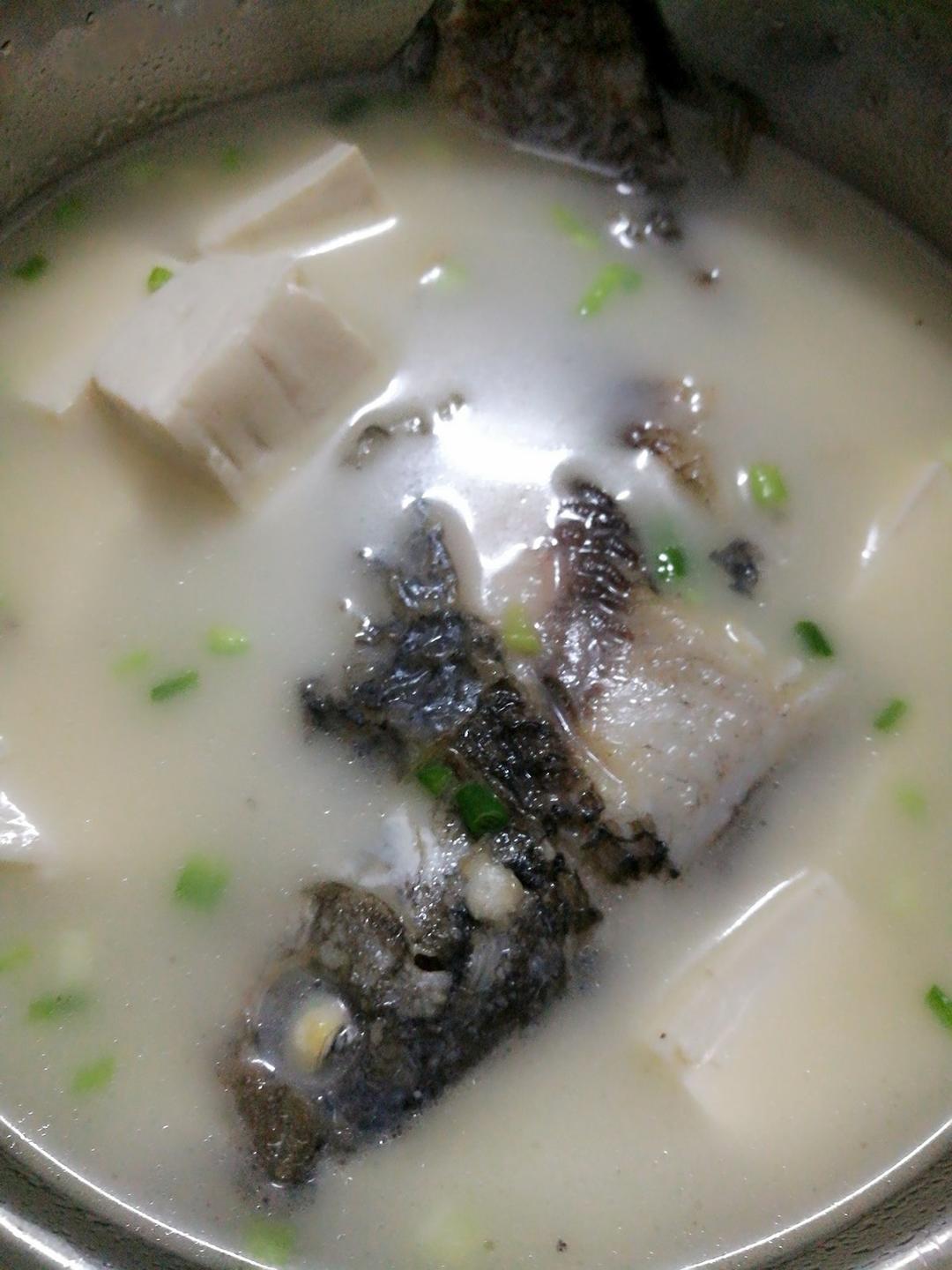 手机用户6101_folj做的鲫鱼豆腐汤