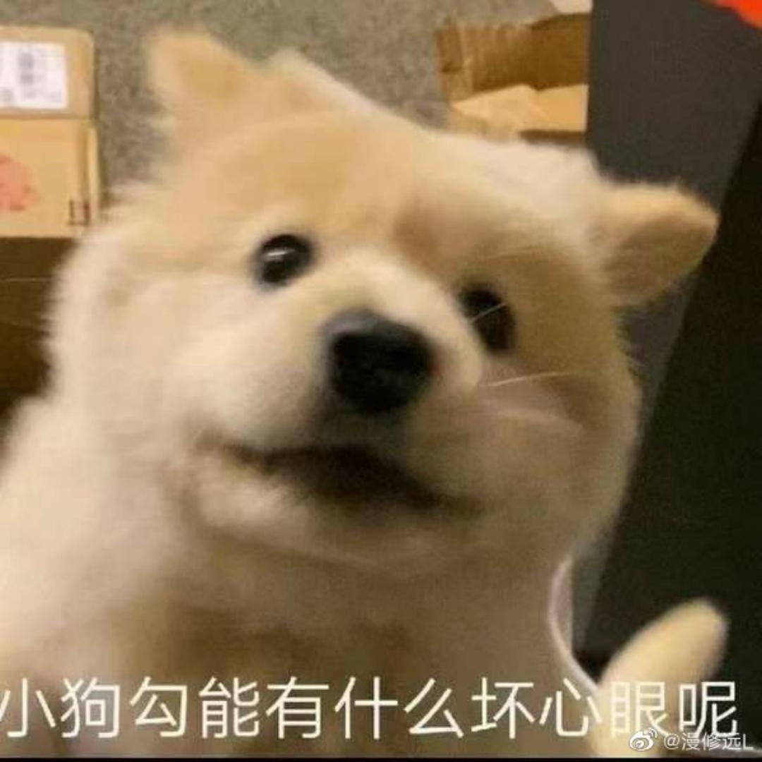 所长你病人跑路啦