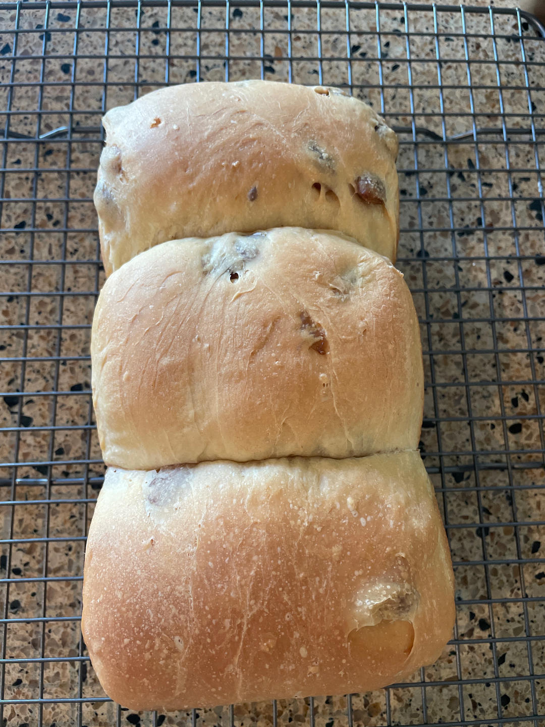 酸奶吐司（100%中种法）可以吃到酸奶的吐司