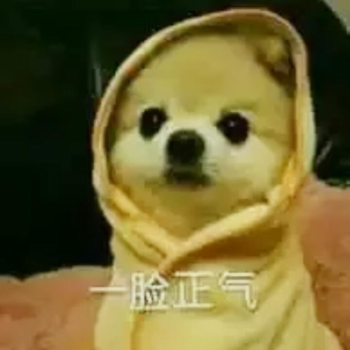鸡腿鸡腿我爱你
