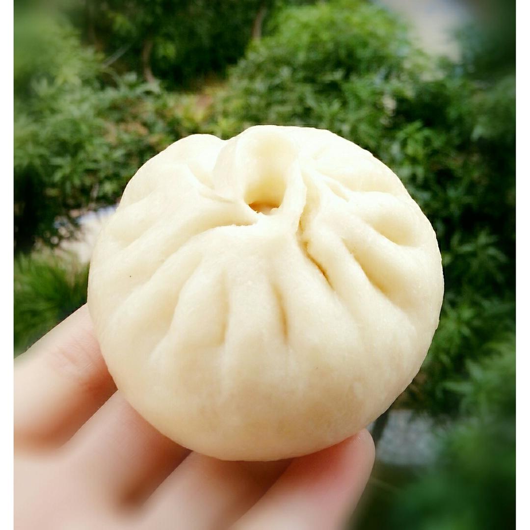 腐乳猪肉包
