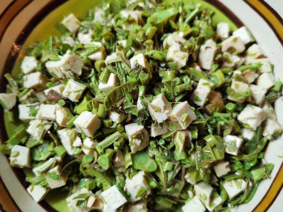 香椿拌豆腐(香椿拌豆腐的经典做法)
