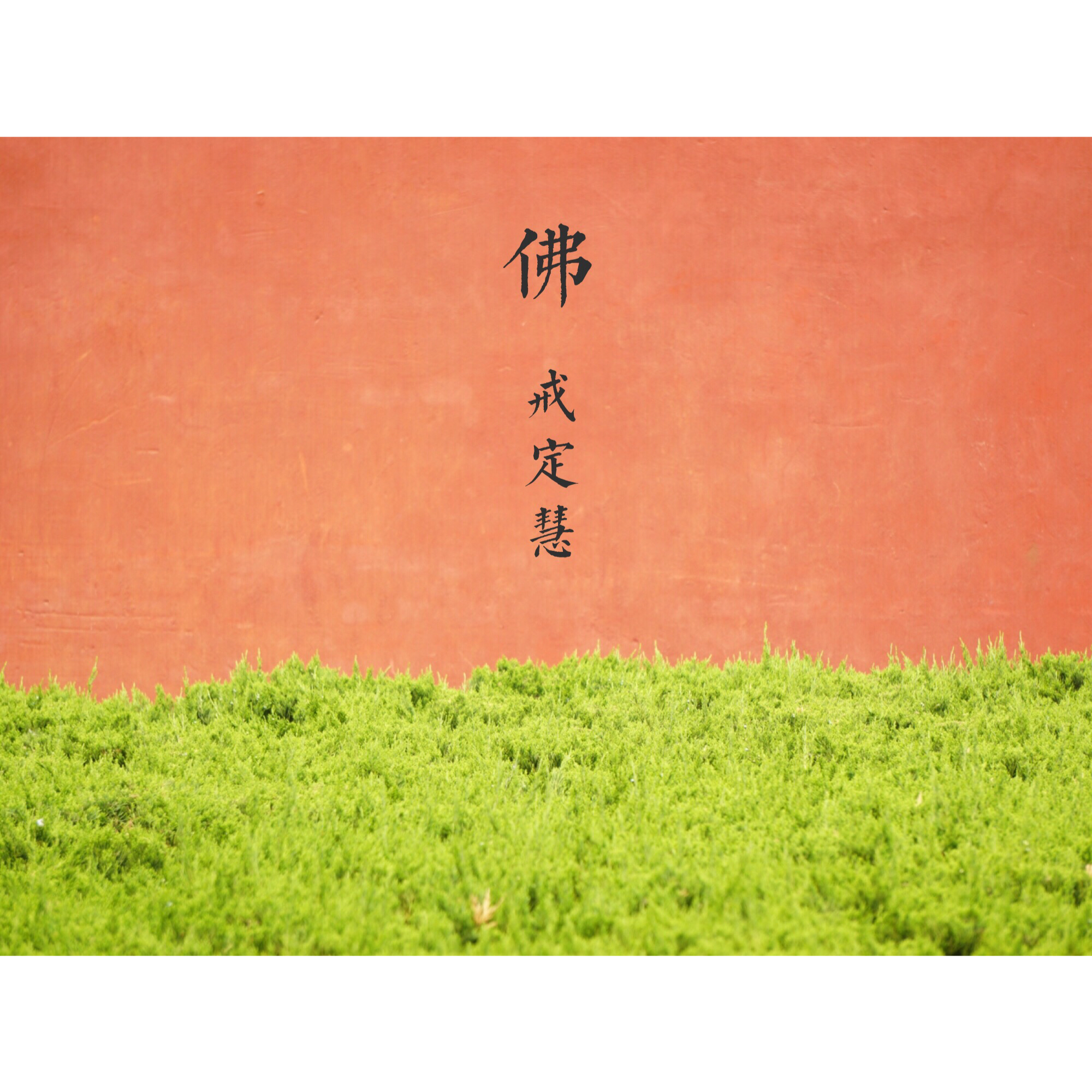 二三念