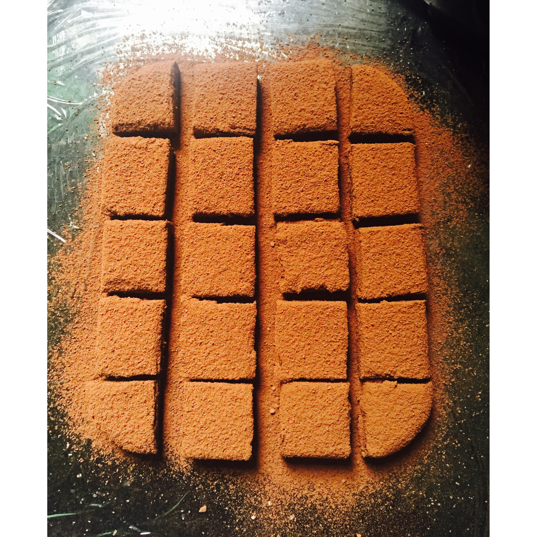 小嶋老师的生巧克力