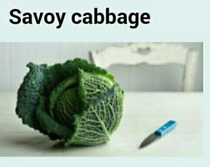 包菜 卷心菜 鸡肉蒸卷steamed Savoy Cabbage Chicken Rolls 附蒸菜酱汁调法 的做法步骤图 洋流不孤寂 下厨房 包菜 卷心菜 鸡肉蒸卷steamed Savoy Cabbage Chicken Rolls 附蒸菜酱汁调法 的做法步骤图 洋流不孤寂 下厨房